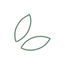 Seeds
